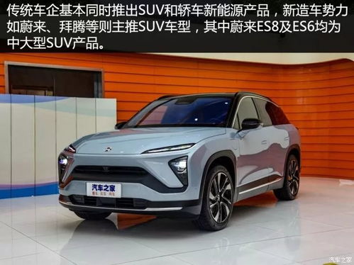 最全分析来了 一文读懂2019年开年新能源汽车整车销售市场
