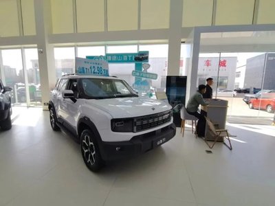 补贴“叠叠乐”，开发区新能源汽车销售火热